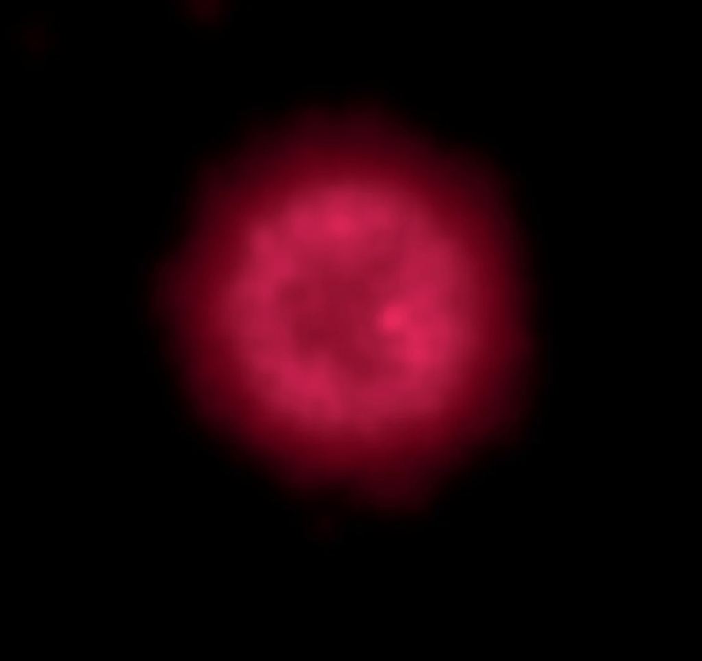 Supernova SN1181 apareceu no céu noturno em 1181 d.C., e sua nebulosa continua a brilhar; Wide-field Infrared Space Explorer da Nasa capturou a nebulosa em luz infravermelha